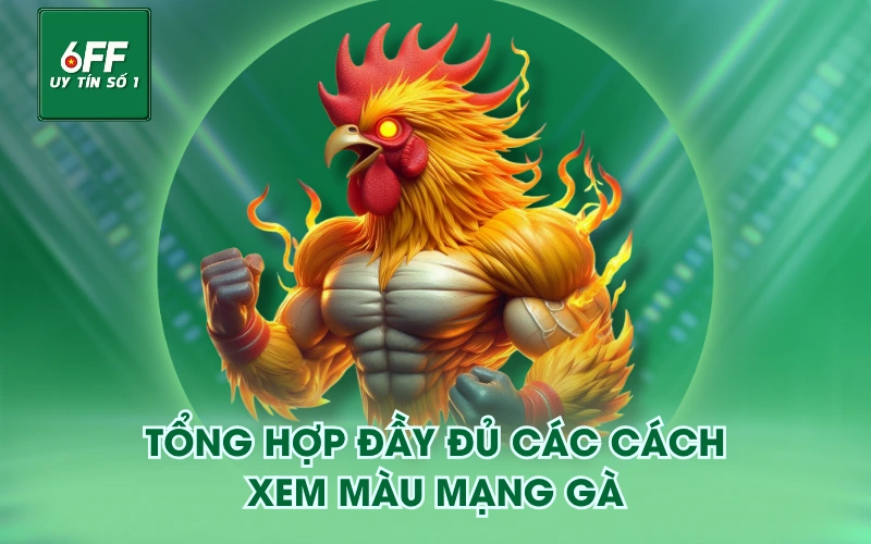 Tổng hợp đầy đủ các cách xem màu mạng gà
