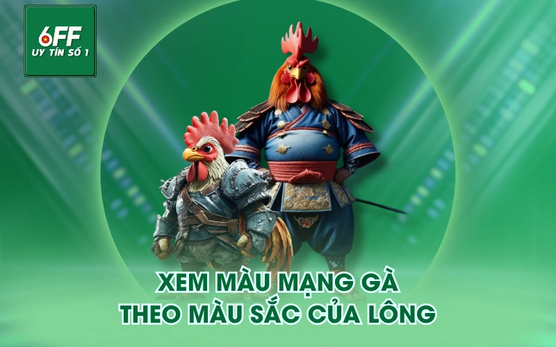 Xem màu mạng gà theo màu sắc của lông